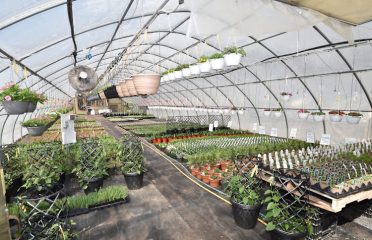 Shoreline Garden Center