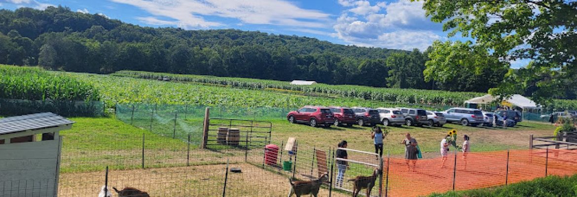 The Farm, Woodbury CT