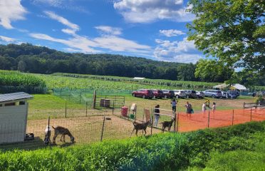 The Farm, Woodbury CT