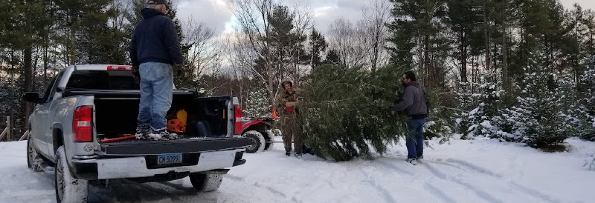 Jersey Tree Farm