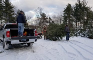 Jersey Tree Farm