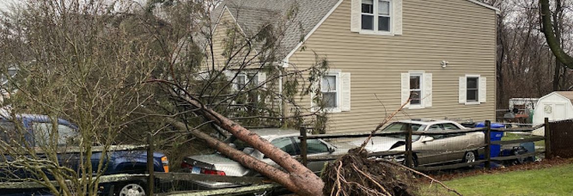 Barts Tree Service