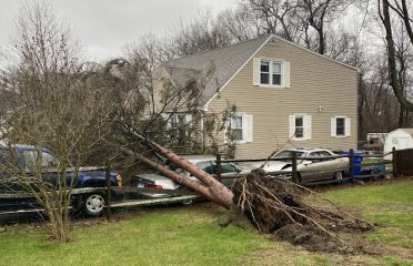 Barts Tree Service