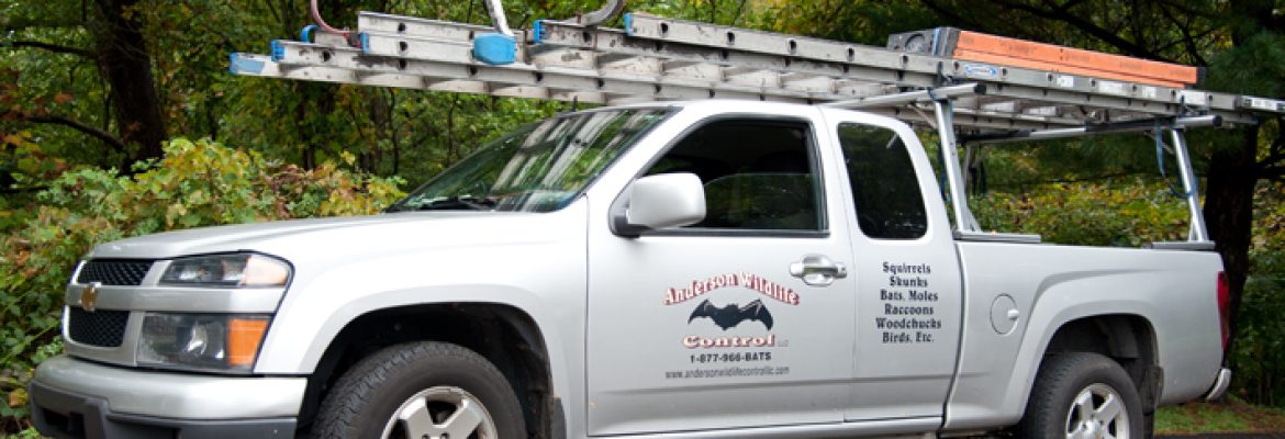 Anderson Wildlife Control LLC