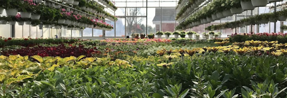 Botticello Farms LLC