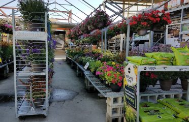 Garden Center at The Home Depot