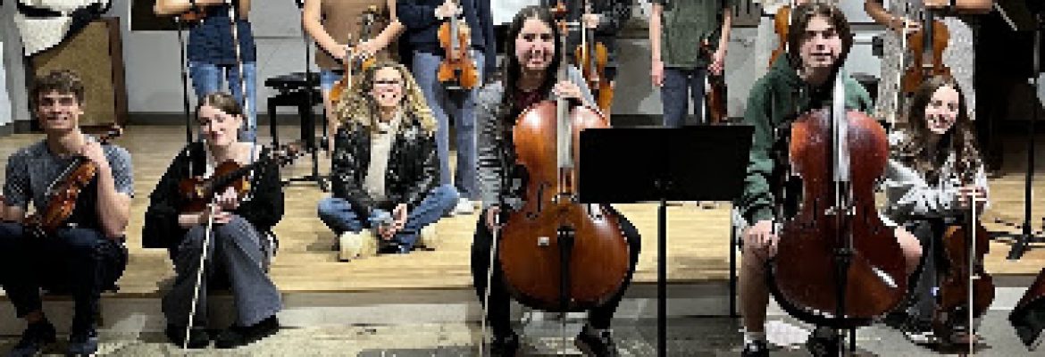 Suzuki Music Schools