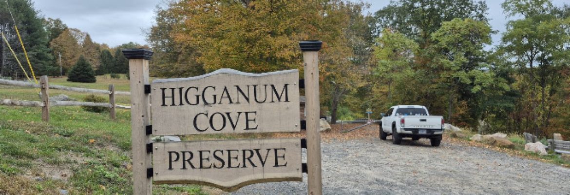 Higganum Cove Preserve