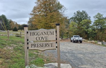 Higganum Cove Preserve