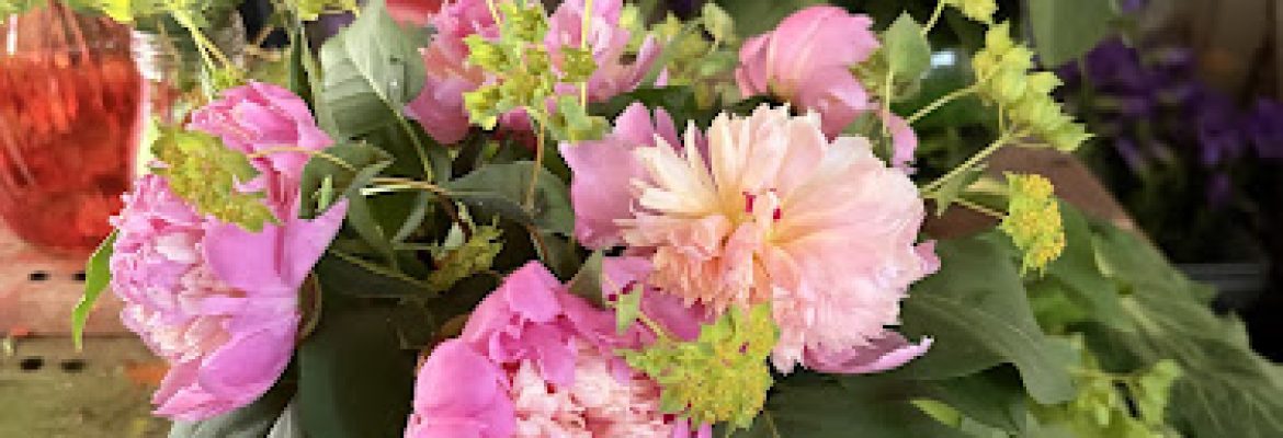 Flower Hour Farm