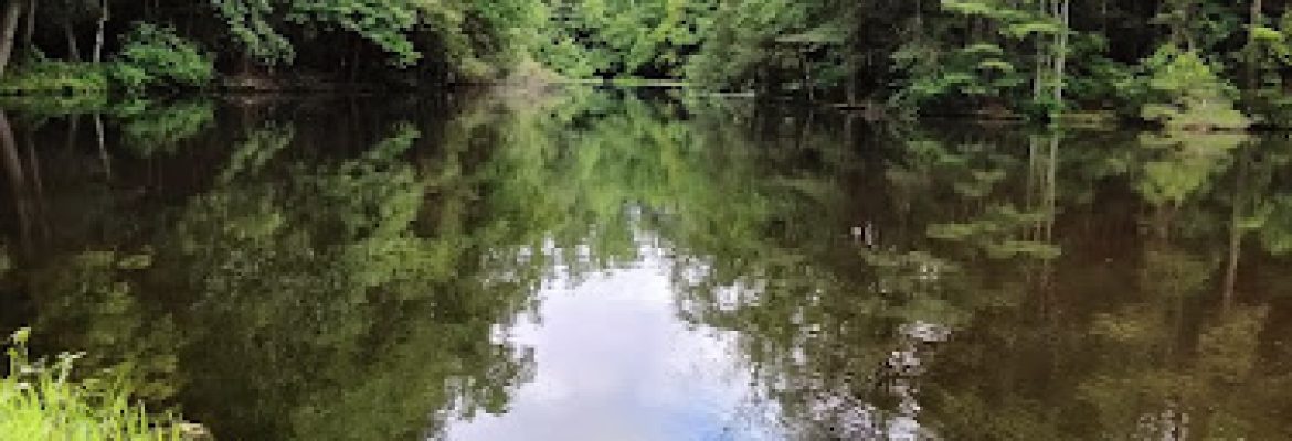 Onion Mountain Park