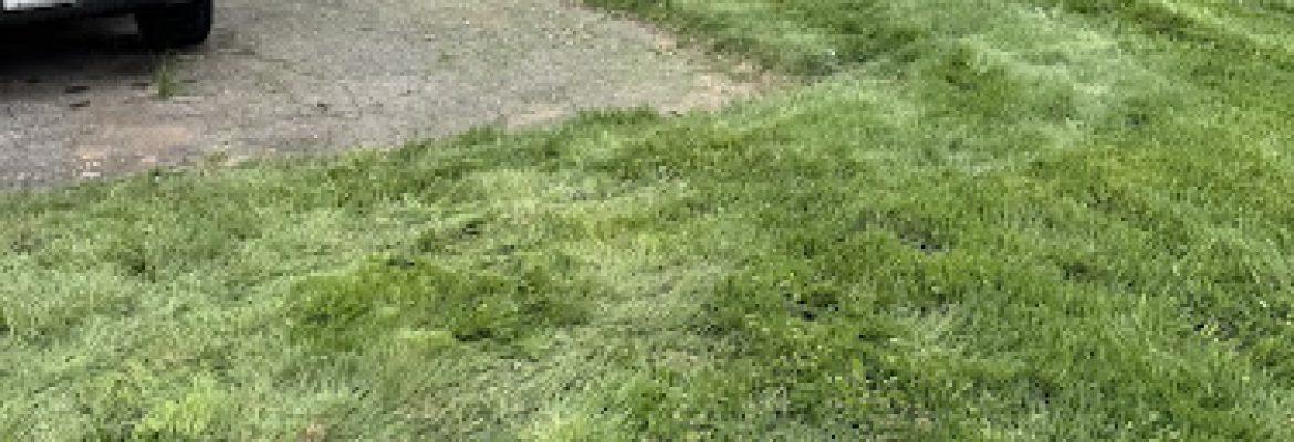 Sebs Landscaping & Masonry LLC