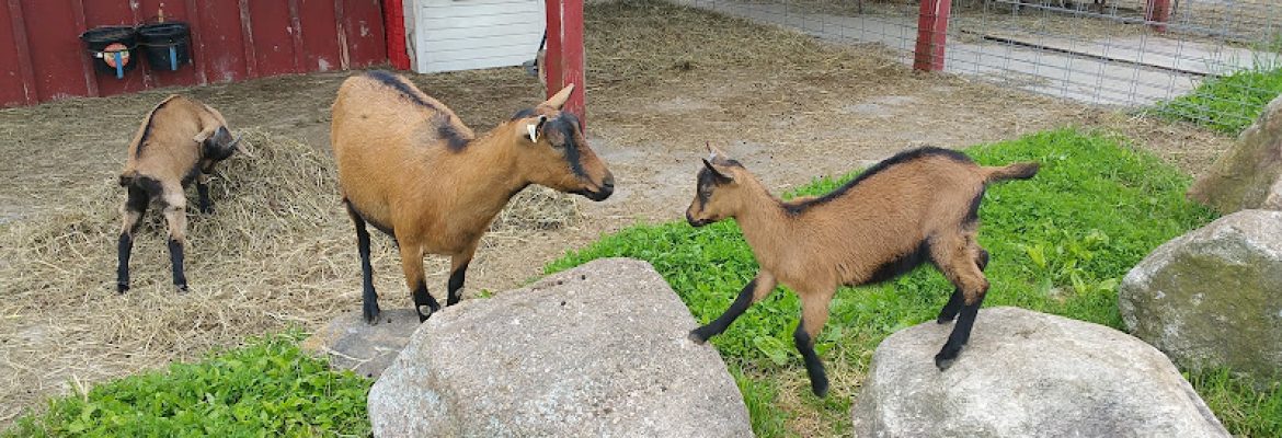 Burke Ridge Farms