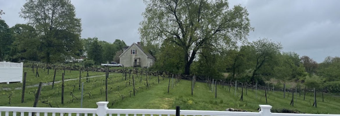 Independence Vineyard
