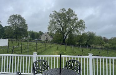 Independence Vineyard