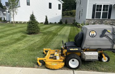 John Pearson Lawn Care
