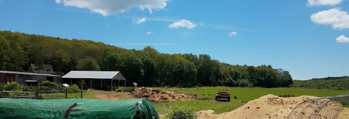 Sankow’s beaver brook farm