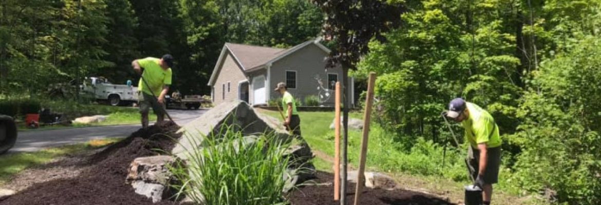 B&D Landscaping Lawn Maintenance LLC