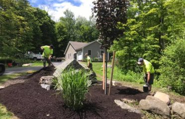 B&D Landscaping Lawn Maintenance LLC
