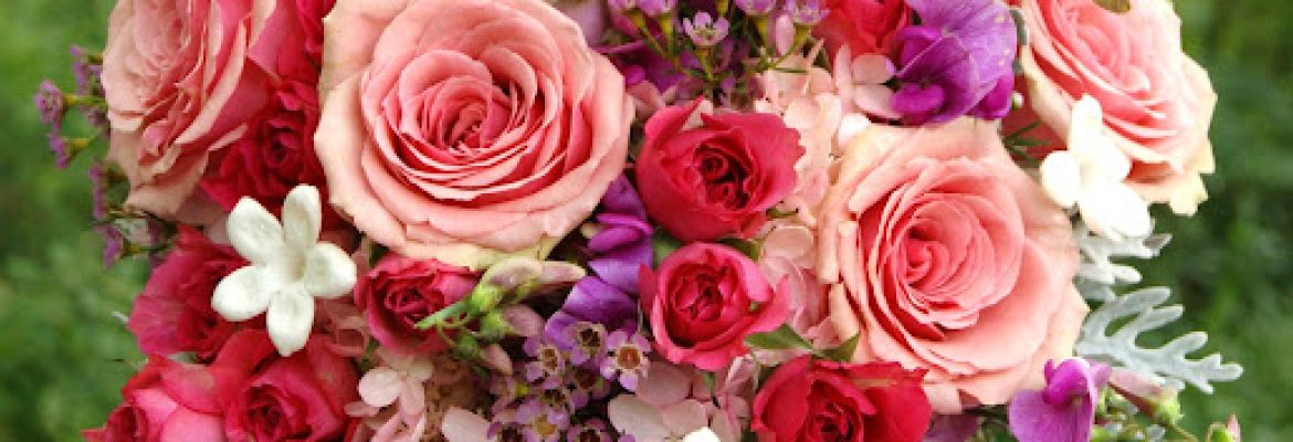 Floral Expressions