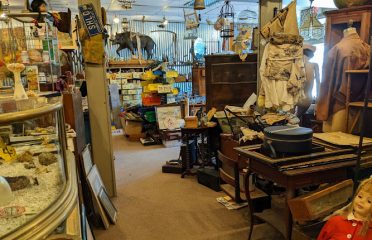 Rustology Antiques and Oddities