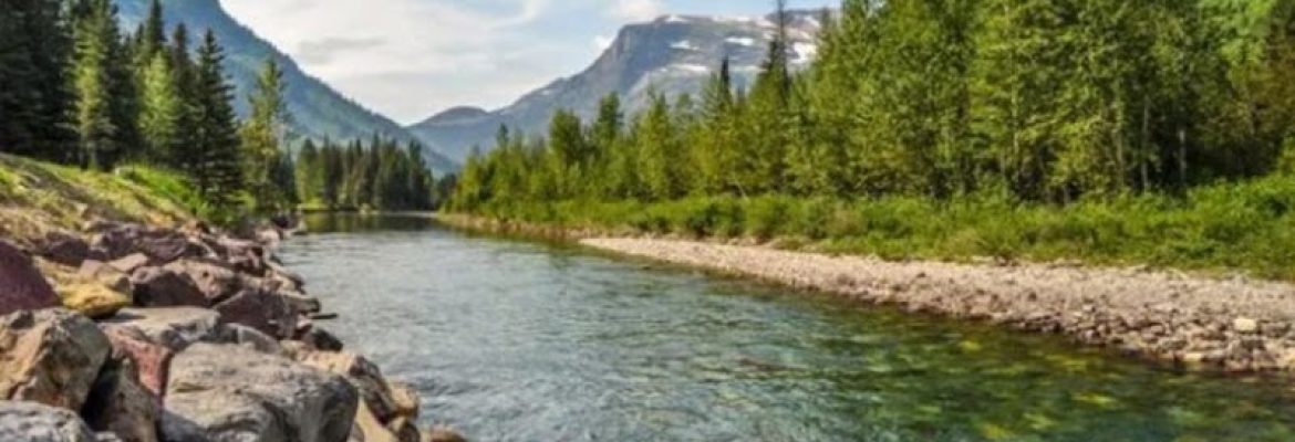 Alternative Paths Counseling & Psychotherapy Services