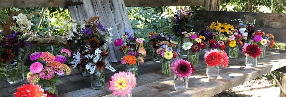 Falls Village Flower Farm LLC