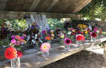 Falls Village Flower Farm LLC