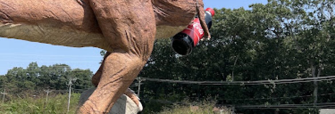 Monty The T-Rex At Nature’s Art Village