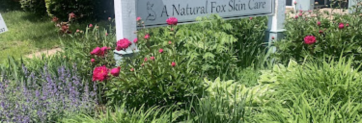 A Natural Fox