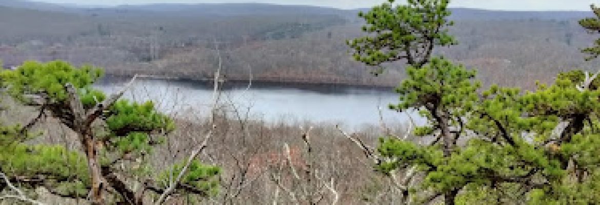 Hurd State Park Parking