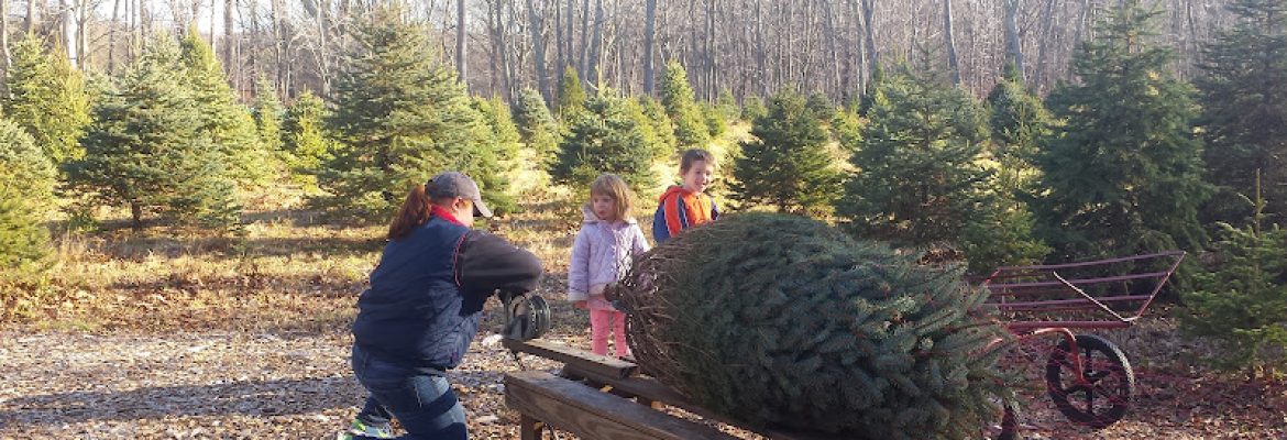 Pendleton Hill Tree Farm – Closed for the Season
