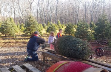 Pendleton Hill Tree Farm – Closed for the Season