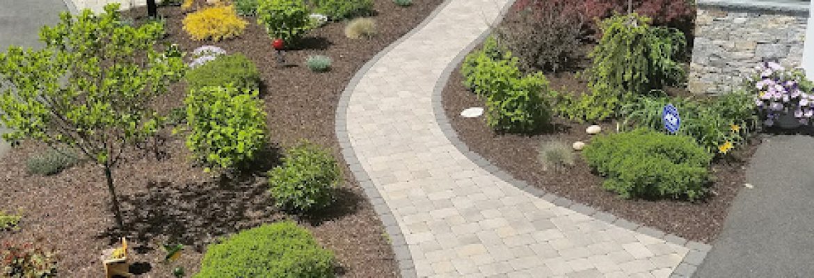 J & D Landscaping