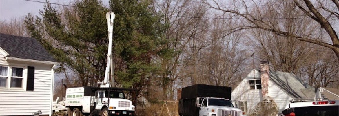 Affordable Landscaping & Tree Service LLC