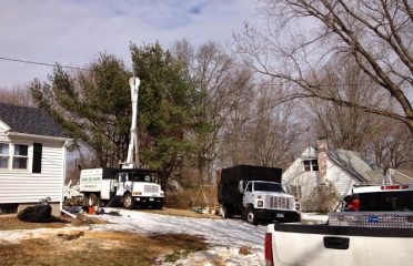 Affordable Landscaping & Tree Service LLC