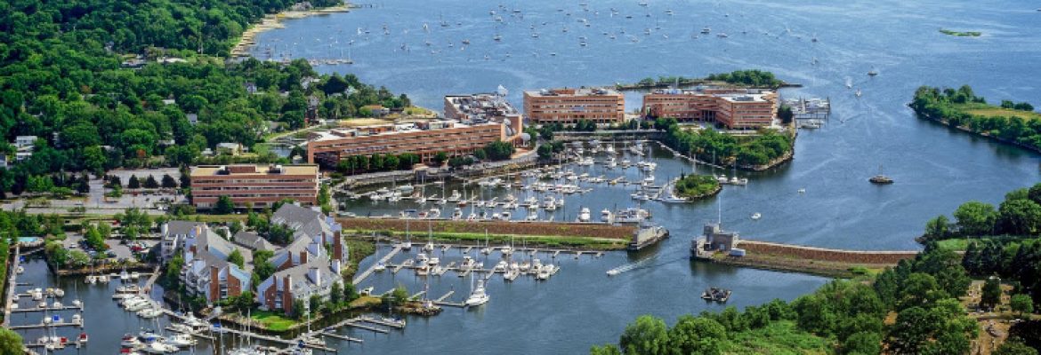 Rogie Turco – Fairfield County Realtor, The Higgins Group