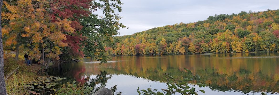 Stillwater Pond State Park