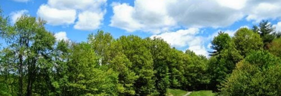 Farmington Woods Golf Club