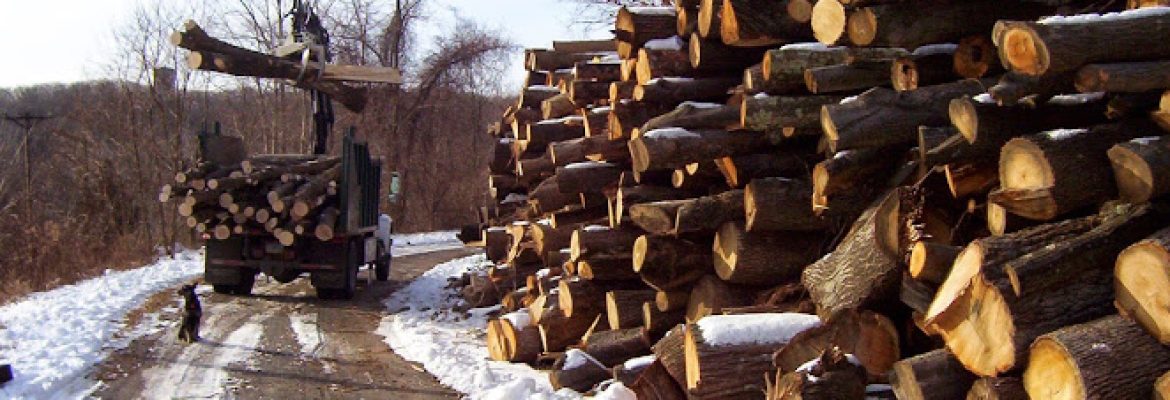 Brothers’ Tree Service LLC