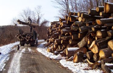 Brothers’ Tree Service LLC