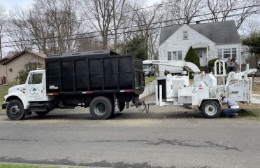 Eagle Tree Services
