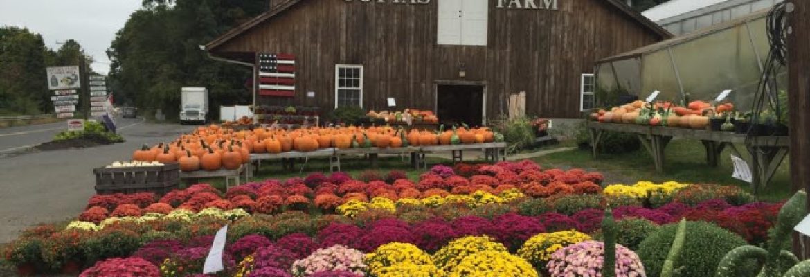 Gotta’s Farm