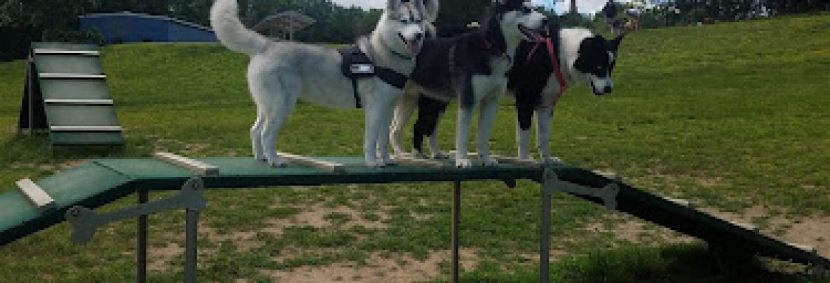 Newtown Park & Bark
