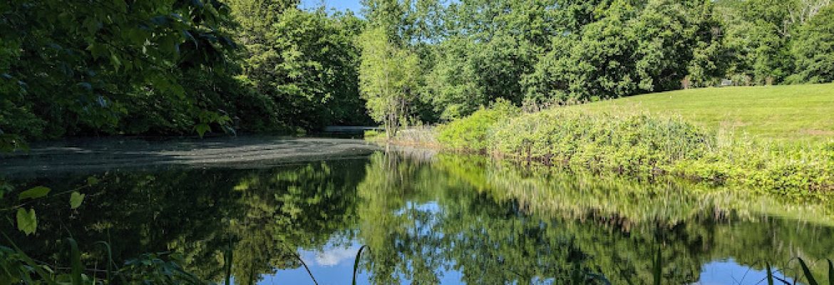 Chapal Farm Preserve