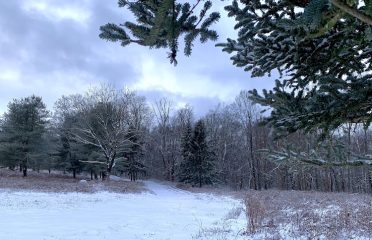 Cedar Spring Farm