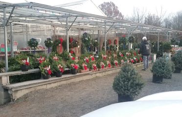 Dietrich Gardens