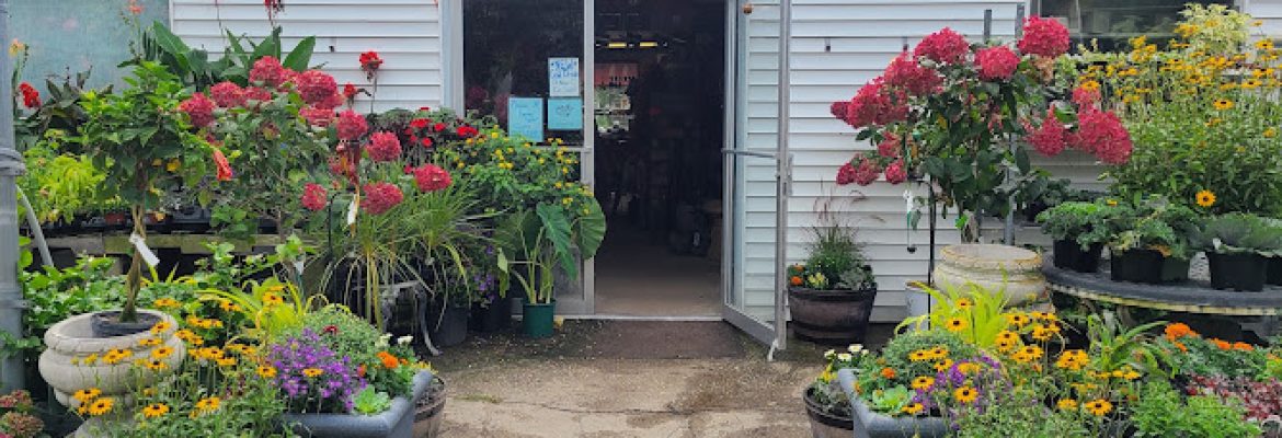 Ladd’s Garden Center