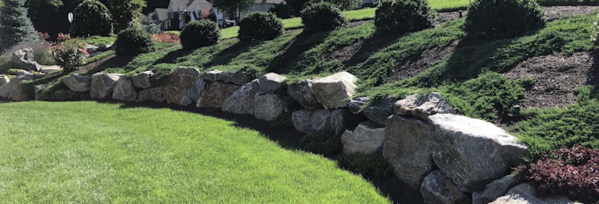 Ali’s Nursery & Landscaping