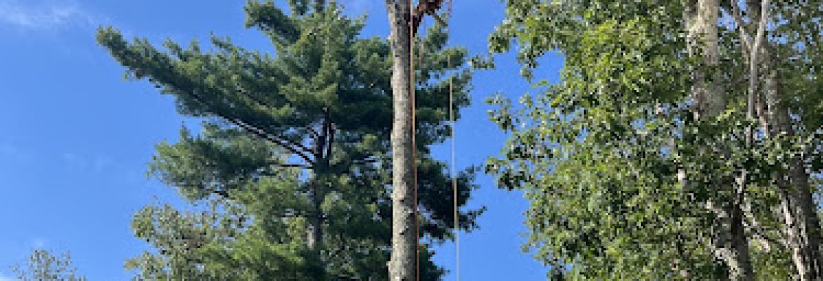 Edmund Farms Tree and Land